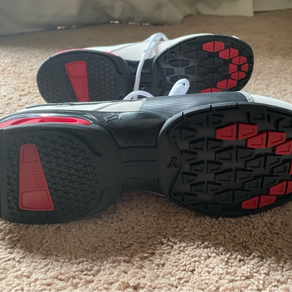 Pumas - Picture 5 of 6